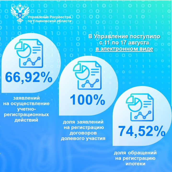 Электронные услуги (статистика) с 11 по 17 августа 2025 года