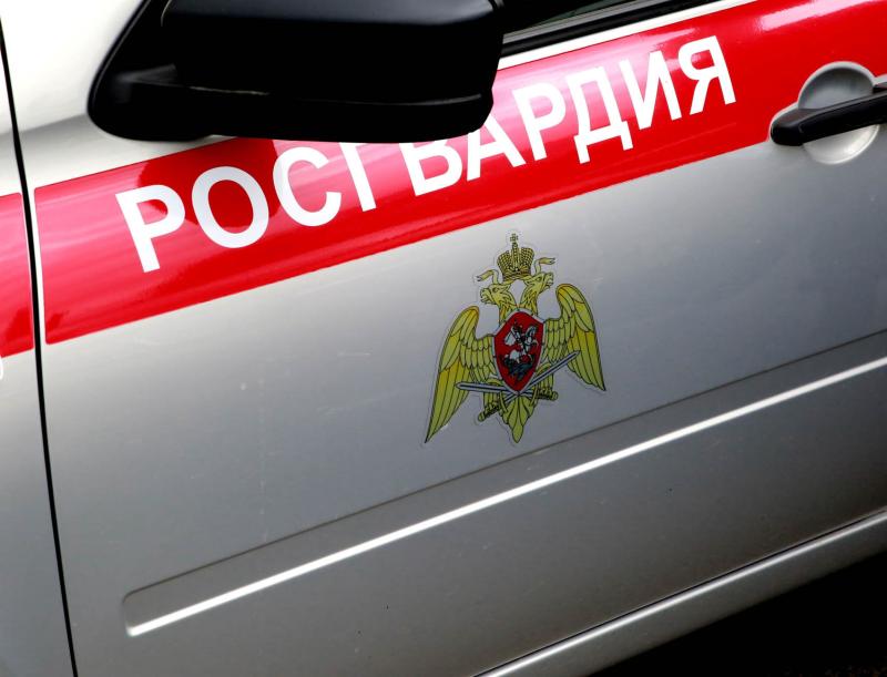 В Мордовии за неделю росгвардейцы 64 раза выезжали по сигналу