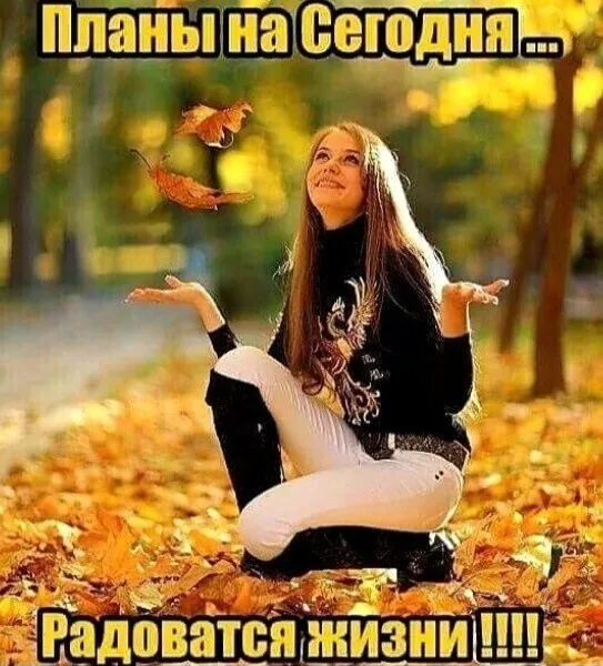 написан текст где сига некст