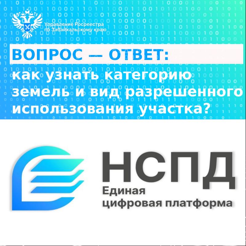 Вопрос – Ответ: Как узнать категорию земель и вид разрешенного использования участка?