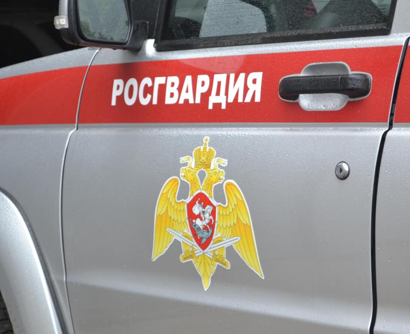 Вневедомственная охрана Росгвардии обеспечит вашу безопасность с помощью мобильного приложения «Тревожная кнопка»
