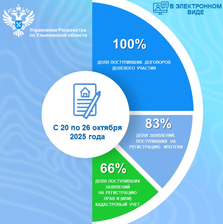 Электронные услуги (статистика) с 20 по 26 октября 2025