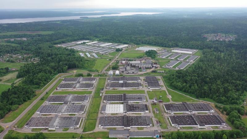 АГРОСИЛА инвестирует 1,15 млрд рублей на модернизацию Пермской птицефабрики до 2026 года