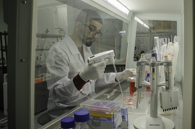 «Умная химера»: как учёные превращают яд в лекарство