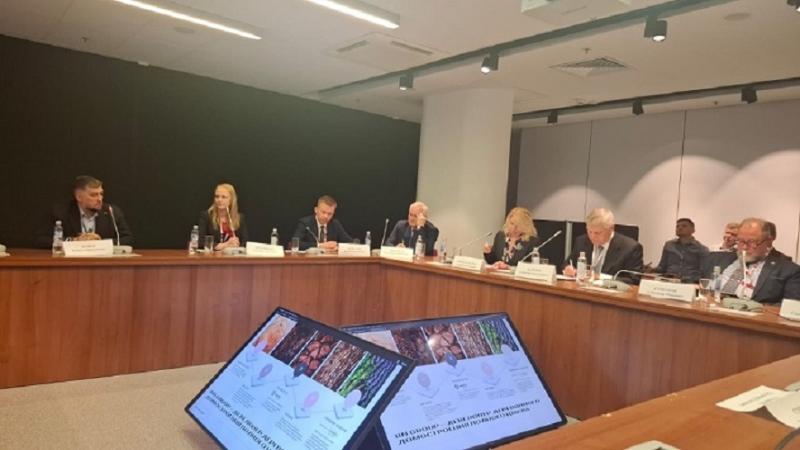 Индустриальное строительство из CLT способно стать драйвером развития Арктики