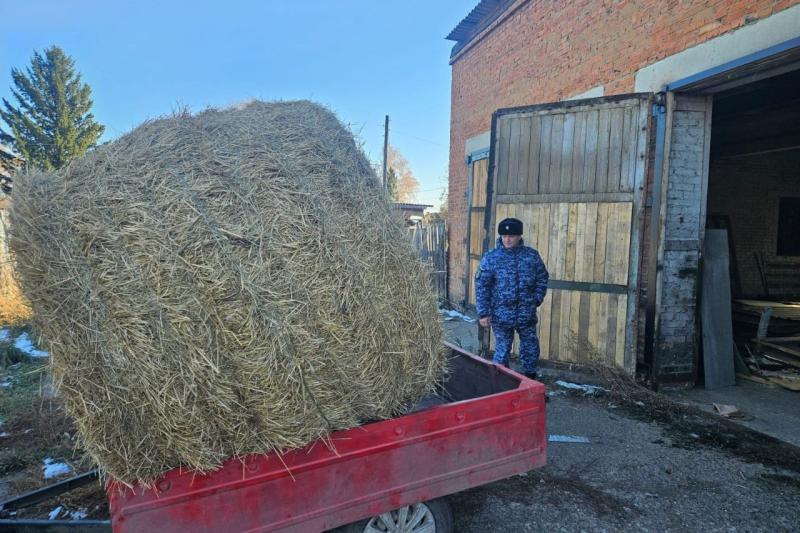 Юргинские росгвардейцы помогли приюту для бездомных животных подготовиться к зиме