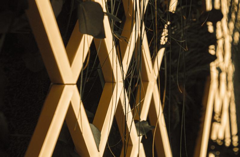 Дачная осень: две идеи сделать отдых еще лучше