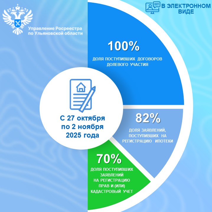Электронные услуги (статистика) с 27 октября по 2 ноября 2025 года