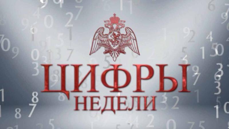 Итоги служебно-боевой деятельности подразделений Главного управления Росгвардии по г. Москве за прошедшую неделю