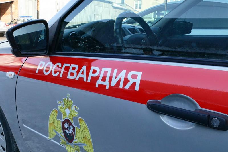 Росгвардейцы задержали похитителя электроинструмента в кемеровском гипермаркете