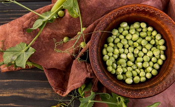 Из отходов – в доходы: в ТГУ нашли применение шелухе гороха