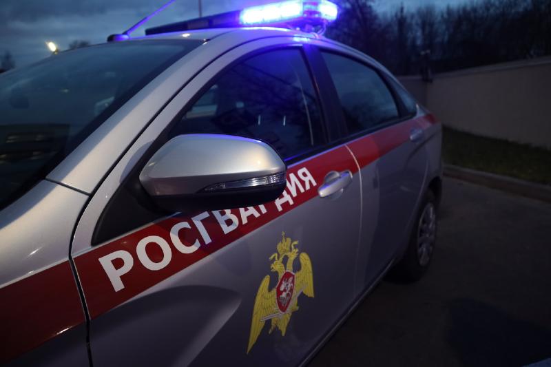 В Зеленодольске сотрудники Росгвардии задержали подозреваемого в краже с проникновением в магазин