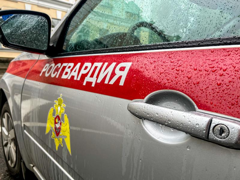 Смоленские росгвардейцы задержали подозреваемую в серии краж