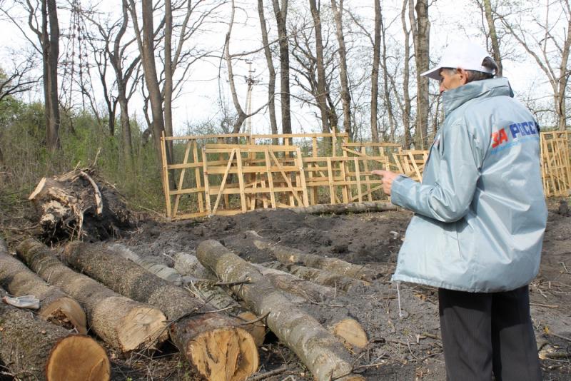 Активисты ОНФ провели рейд на окраине Черкесска, где были выявлены факты вырубки деревьев